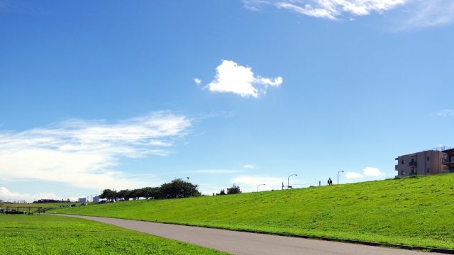 江戸川で大人の初心者におすすめの英語教室3選！