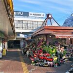 上石神井で大人の初心者におすすめの英語教室3選！