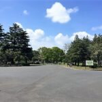 篠崎で大人の初心者におすすめの英語教室8選！